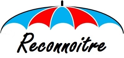 Reconnoitre - Business Coaching, Consulting & Mentoring